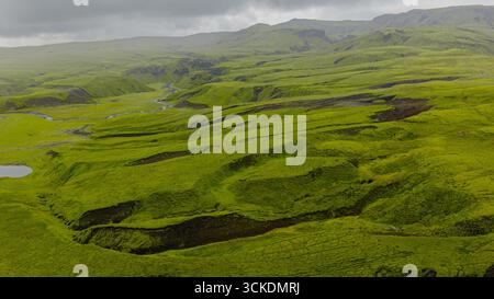 Un vaste paysage verdoyant en Islande avec des collines ondulantes, des vallées sinueuses et des ruisseaux. Le ciel couvert met en valeur le terrain volcanique couvert de mousse. Banque D'Images