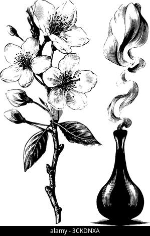 Motif floral et arôme gravé avec fleurs de sakura et flacon de parfum pour décoratif Illustration de Vecteur