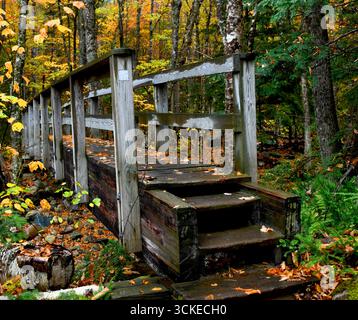 Les feuilles d'automne couvrent le lit sec du ruisseau dans le New Hampshire. Étroite passerelle en bois est humide avec la pluie matinale et couverte de feuillage d'automne. Banque D'Images