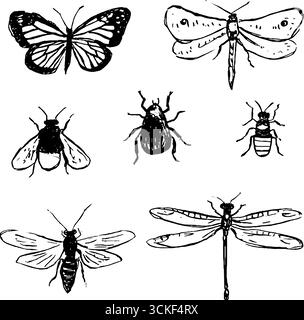 Collection de croquis en noir et blanc d'insectes présentant des papillons, des coléoptères et des libellules. Illustration de Vecteur