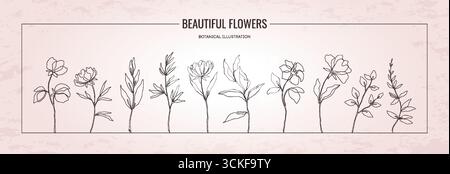 Ensemble de fleurs d'art au trait. Feuille de plante florale, dessin dessiné à la main feuilles motif ou silhouette botanique rose nature. Décor élégant pour mariage. Verdure botanique minimale, éléments décoratifs isolés par vecteur Illustration de Vecteur