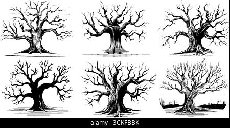 Ensemble de six illustrations détaillées de chêne noir et blanc. Illustration de Vecteur