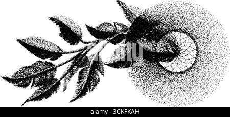 Dreamcatcher et feuilles en pointillés dotwork art - design vintage pour les projets créatifs. Illustration de Vecteur