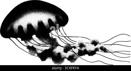Illustration minimaliste de pointillés et de dotwork d'une méduse - design aquatique pour l'art et la décoration. Illustration de Vecteur