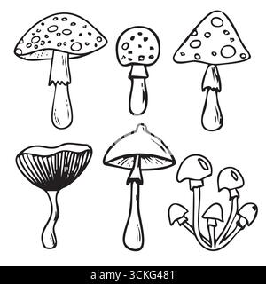 Doodle vectoriel dessiné à la main de champignons Illustration de Vecteur
