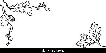 Feuille de chêne dessinée à la main avec des glands et des branches de curling dans la conception de coin. Illustration de Vecteur