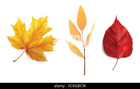 Conception de Thanksgiving, collection d'automne, ensemble confortable d'automne, conception pour affiches, cartes, autocollants Illustration de Vecteur