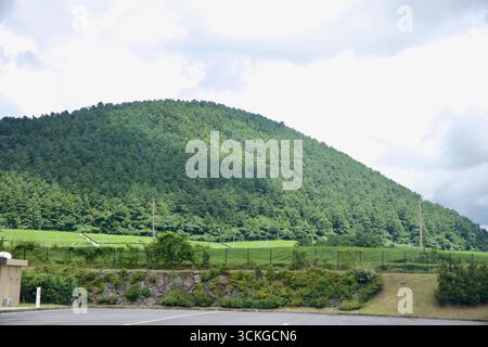 Une colline verdoyante couverte de forêt dense se dresse derrière le Musée aérospatial de Jeju, montrant l'environnement naturel du site à Seogwipo, Jeju I. Banque D'Images