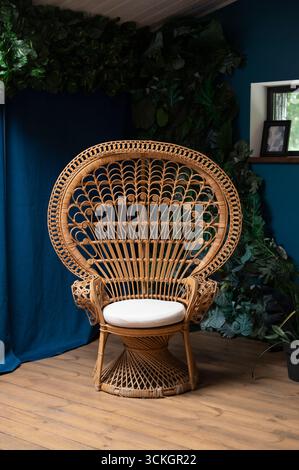 Une belle chaise en osier paon avec un coussin blanc, placée sur un fond bleu foncé avec des plantes tropicales vertes. Banque D'Images