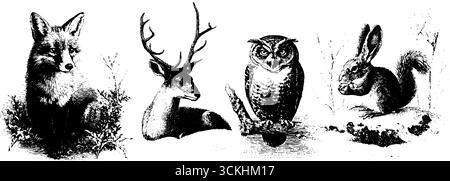 Gravure vintage de collection d'animaux des bois enneigés - renard, cerf, hibou, lapin. Illustration de Vecteur