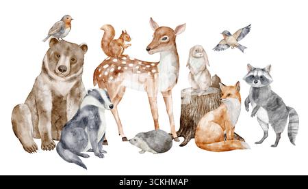 Illustration aquarelle des animaux de la forêt, y compris ours, cerf, renard, raton laveur, écureuil, oiseau, hérisson et blaireau. Dessin de la composition d'automne des bois pour affiche de pépinière ou cartes enfantines. Banque D'Images