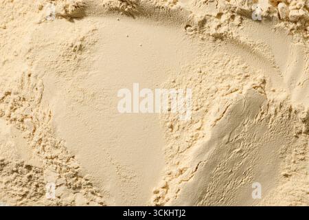 whey protein vanille poudre végétalienne aromatisée fond, vue de dessus Banque D'Images