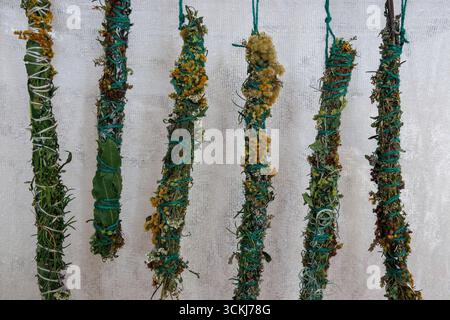 Bâtonnets de maculage, herbes sauvages séchées roulées en bâtonnets pour fumer, Allemagne. Banque D'Images