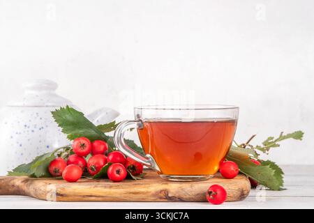 Thé parfumé aux baies d'aubépine d'automne. Boisson chaude biologique à base de plantes à base de baies d'aubépine de forêt sauvage, sur fond de bois blanc Banque D'Images