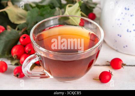 Thé parfumé aux baies d'aubépine d'automne. Boisson chaude biologique à base de plantes à base de baies d'aubépine de forêt sauvage, sur fond de bois blanc Banque D'Images