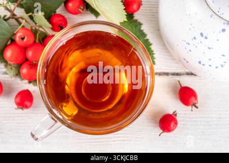 Thé parfumé aux baies d'aubépine d'automne. Boisson chaude biologique à base de plantes à base de baies d'aubépine de forêt sauvage, sur fond de bois blanc Banque D'Images