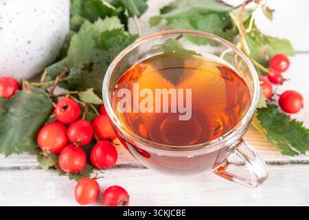 Thé parfumé aux baies d'aubépine d'automne. Boisson chaude biologique à base de plantes à base de baies d'aubépine de forêt sauvage, sur fond de bois blanc Banque D'Images