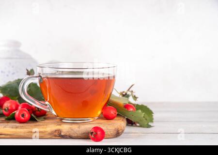 Thé parfumé aux baies d'aubépine d'automne. Boisson chaude biologique à base de plantes à base de baies d'aubépine de forêt sauvage, sur fond de bois blanc Banque D'Images
