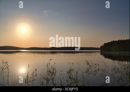 La lumière dorée se reflète dans le lac tranquille, encadré par des roseaux et la forêt. Un moment tranquille plein d'harmonie et de beauté naturelle. Banque D'Images