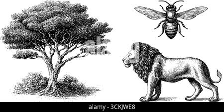 Scène de coucher de soleil africaine avec des silhouettes d'arbre d'acacia, de lion et d'insecte pour les affiches et l'impression. Illustration de Vecteur