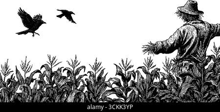 Épouvantail rustique dans un champ de maïs avec des corbeaux - art vintage gravé pour le design. Illustration de Vecteur