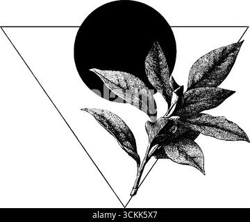 Illustration botanique gravée avec fronton triangulaire et cercle pour la conception. Illustration de Vecteur