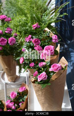 Roses roses emballées dans un cadeau Banque D'Images