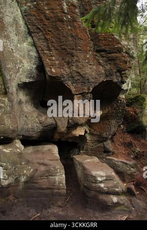 Forme bizarre de crâne dans la falaise érodée de grès, Samotnik, au sud de Bate Skaty, Park Narodowy Gor Stolowych, Silésie, Pologne. Banque D'Images