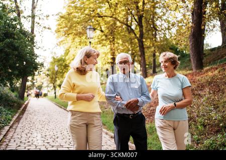 Chérir la joie de profiter d'une promenade paisible dans un parc d'automne avec des amis proches Banque D'Images