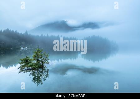Atmosphère mystique le matin à Hintersee dans les Alpes bavaroises, Allemagne. Banque D'Images