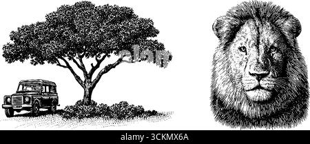 Illustration gravée du lion de savane et de l'arbre d'acacia avec véhicule de safari. Illustration de Vecteur