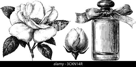 Ensemble élégant flacon de parfum gravé et rose pour un design imprimé de luxe. Illustration de Vecteur