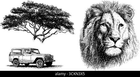 Aventure safari gravée avec lion de savane et arbre d'acacia pour la conception artistique de la faune. Illustration de Vecteur