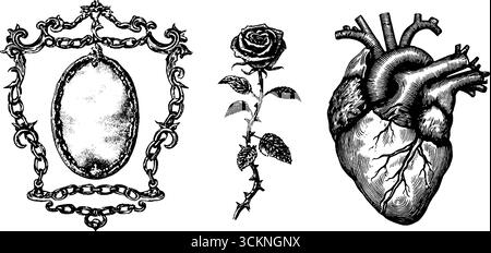 Illustrations gravées de verre embué, rose et cœur humain pour le design artistique. Illustration de Vecteur