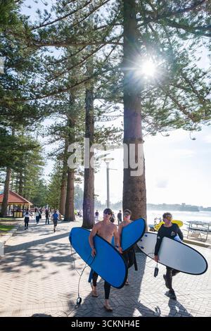 Surfeurs transportant des planches le long d'un beau chemin en bord de mer entouré d'arbres imposants et de la nature. Une journée ensoleillée remplie d'activité et l'esprit d'un Banque D'Images