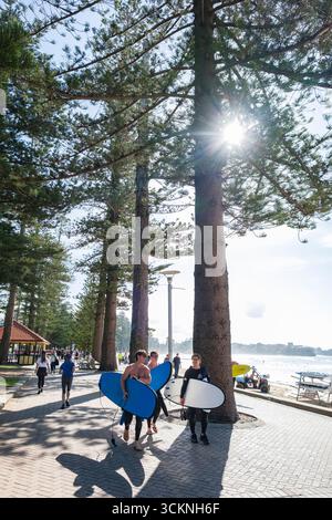 Les surfeurs portant des planches marchent le long d'un pittoresque chemin bordé d'arbres de Manly Beach sous la chaleur du soleil, capturant un style de vie balnéaire dynamique avec des loisirs Banque D'Images