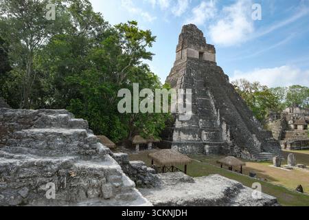 Flores, Guatemala - 12 juin 2025 : Temple du Grand Jaguar à Tikal, c'est les ruines d'une ancienne ville maya à Flores, Peten, Guatemala Banque D'Images