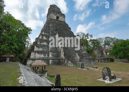 Flores, Guatemala - 12 juin 2025 : Temple du Grand Jaguar à Tikal, c'est les ruines d'une ancienne ville maya à Flores, Peten, Guatemala Banque D'Images