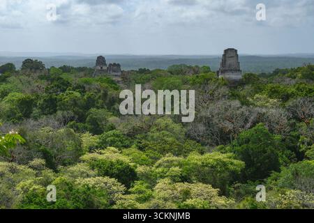 Flores, Guatemala - 12 juin 2025 : Tikal est les ruines d'une ancienne ville maya à Flores, département de Peten, Guatemala. Banque D'Images