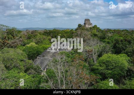 Flores, Guatemala - 12 juin 2025 : Tikal est les ruines d'une ancienne ville maya à Flores, département de Peten, Guatemala. Banque D'Images
