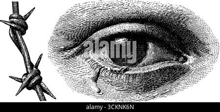 Illustration gravée de l'œil qui pleure et du fil de fer barbelé pour les éléments de conception émotionnelle. Illustration de Vecteur