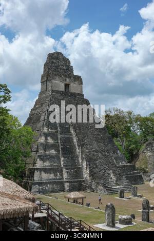 Flores, Guatemala - 12 juin 2025 : Temple du Grand Jaguar à Tikal, c'est les ruines d'une ancienne ville maya à Flores, Peten, Guatemala. Banque D'Images