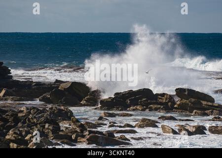 De puissantes vagues océaniques frappant contre des rochers accidentés dans un paysage côtier, mettant en valeur la beauté marine naturelle et le mouvement dynamique de l'eau sous un climat serein Banque D'Images