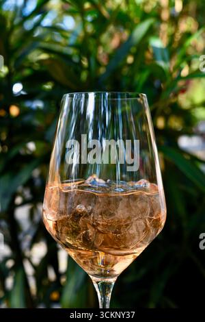 Verre de vin rosé avec des glaçons, photographié à l'extérieur avec un fond de feuillage vert. Banque D'Images