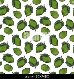 Motif aquarelle sans couture. Limes entières avec des feuilles sur fond blanc. Parfait pour les designs d'été, les illustrations fraîches, les projets dynamiques. Main Banque D'Images