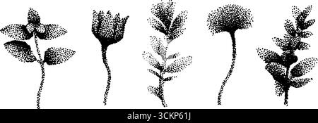 Ensemble d'art botanique à l'encre pointillée avec des illustrations florales hyper détaillées. Illustration de Vecteur