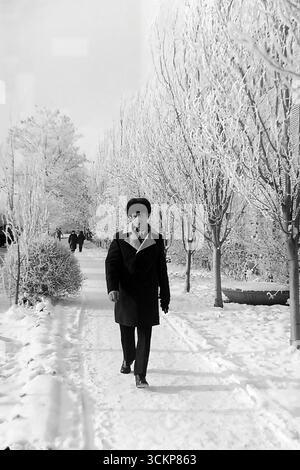 Un homme fait une promenade solitaire dans une ruelle incroyablement belle et couverte de gel à Sloviansk au cours de l'hiver 1976. Vêtu d'une tenue d'hiver classique de l'ère soviétique, comprenant un chapeau ushanka en fourrure et un manteau formel foncé, il marche avec une foulée confiante vers la caméra à travers un paysage magique et enneigé où chaque branche est blanche avec du givre. Ce cliché très atmosphérique est un excellent exemple de photographie de genre de l'époque de la stagnation, capturant parfaitement la beauté sereine de la nature et le rythme paisible et mesuré de la vie dans la région du Donbass Banque D'Images