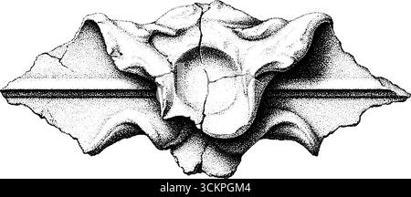 Éclat de poterie préhistorique avec motif incisé abstrait pour la conception d'artefacts historiques. Illustration de Vecteur