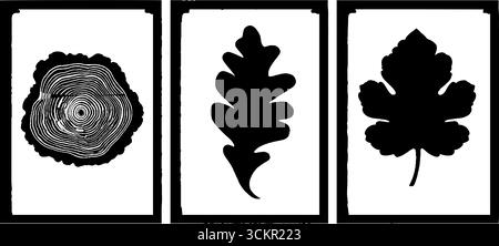 Ensemble de motifs nature avec anneaux d'arbre et motifs de feuilles abstraits pour des imprimés décoratifs. Illustration de Vecteur
