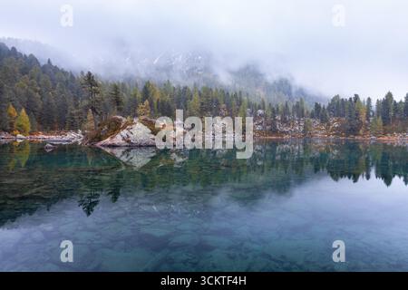 Lago di Saoseo en automne, un lac alpin avec une eau cristalline, un feuillage d'automne coloré et de la brume matinale. Banque D'Images